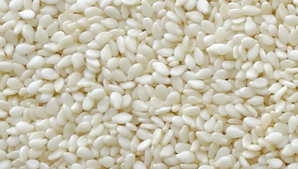 Hulled Sesame Seed - Organic Certified Hulled Sesame Seeds