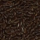Roasted Organic Flax Seed (Linseeds)
